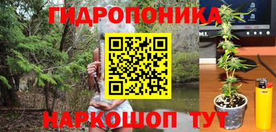 бошки Будённовск