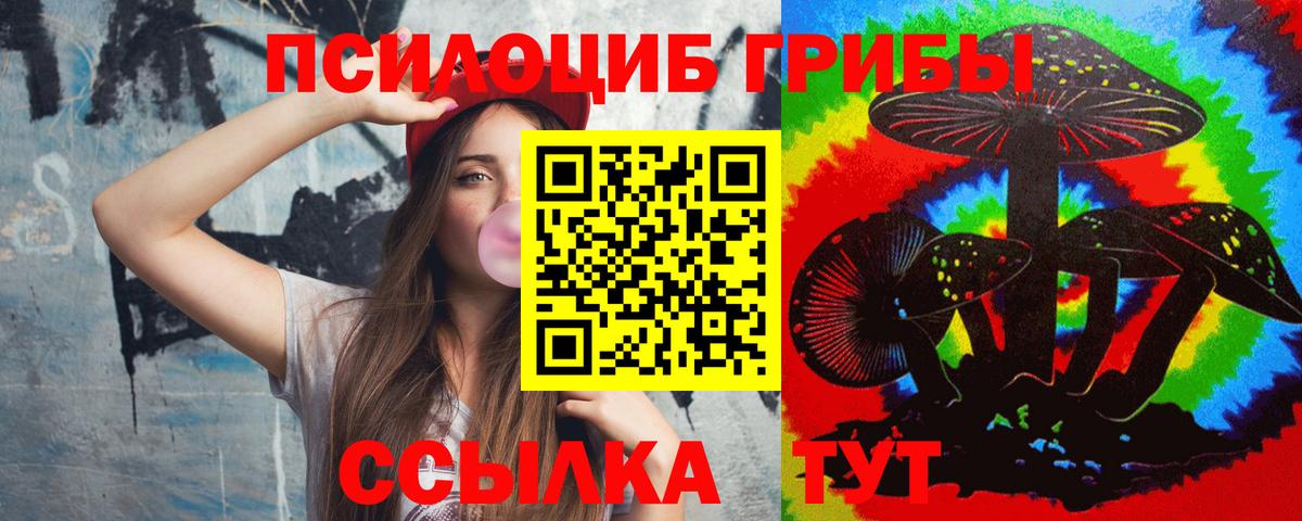наркошоп  Вход с VPN  Псилоцибиновые грибы MAGIC MUSHROOMS  Норильск  Галлюциногенные грибы Psilocybe 